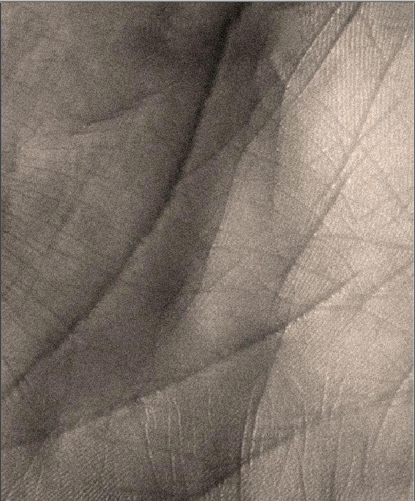 unnamed image
