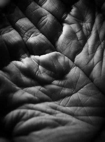unnamed image